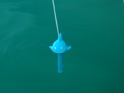 1. Moby Dick