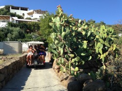 Le taxi collectif de Panarea