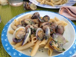 Penne rigate al vongole