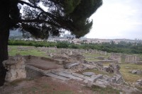 Salona